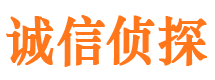 桑日诚信私家侦探公司